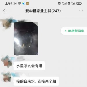 太惡心！小區(qū)自來水中驚現(xiàn)“活物”