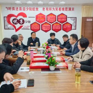 鹿城鎮(zhèn)老年協(xié)會(huì)學(xué)習(xí)宣傳貫徹黨的二十大精神，結(jié)合實(shí)際做好自身工作討論會(huì)召開