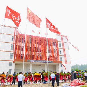 安徽胡王府：預(yù)制菜產(chǎn)業(yè)新生力量，助推鄉(xiāng)村振興
