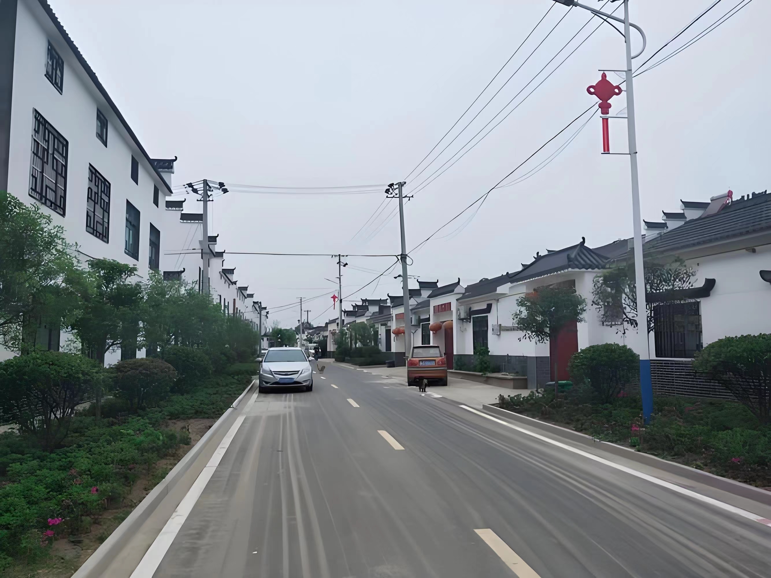 傳承紅色基因，續(xù)寫潁上黃壩發(fā)展新篇章